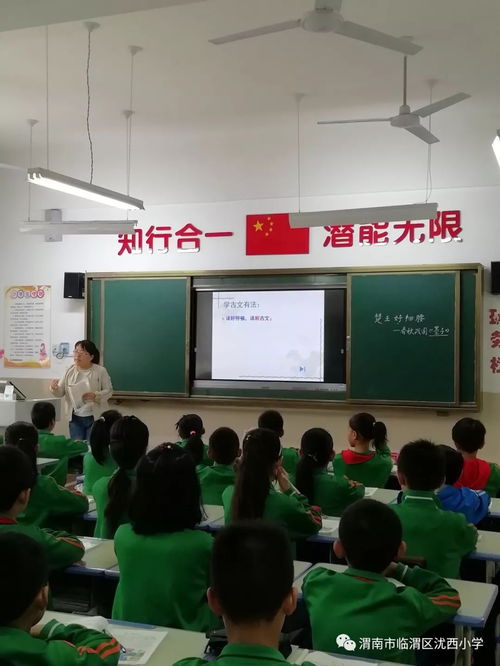 沋西小學迎檢記 規范管理與特色發展的生動實踐