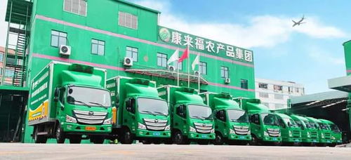 凌晨出發(fā)，康來(lái)福將新鮮的云南韭菜送上廣州食堂餐桌